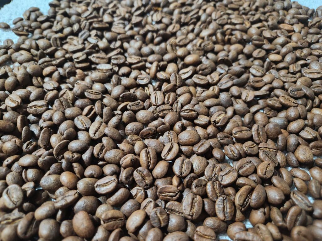 El Silencio Tostado Medio